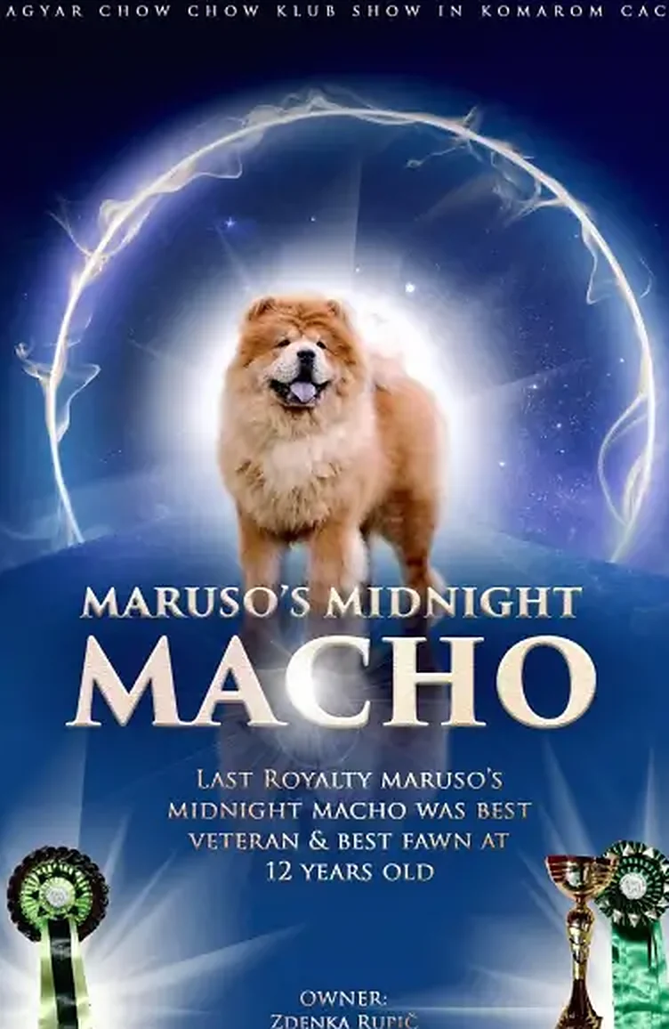 Champion dog poster