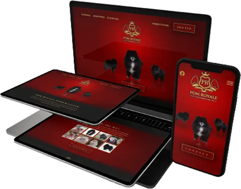 Pom Royale website on laptop, tablet and phone